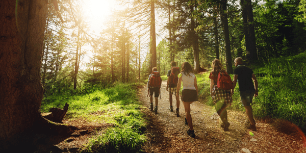 Groupe qui marche dans un sentier boisé